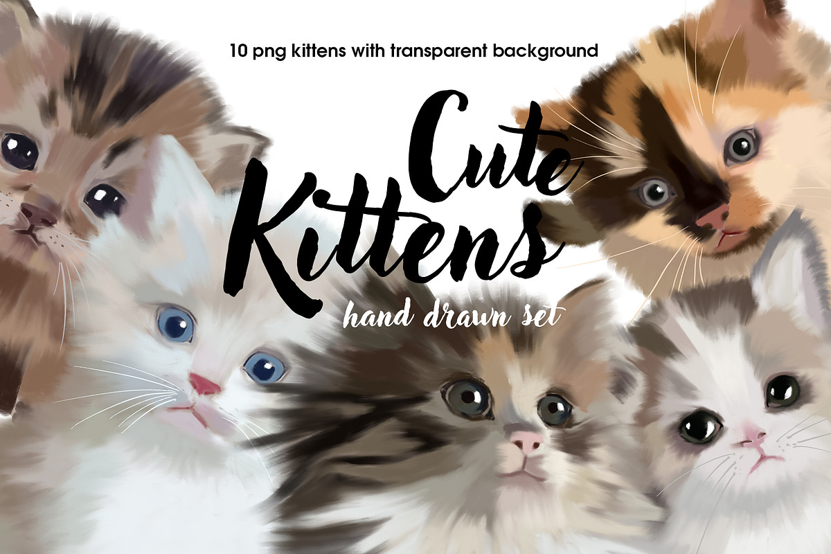 Cute Kittens, an Animal Illustration by Malena (Photo 1 of 4)