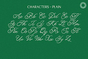 Alight Garden - Ornamental Script, a Script Font by Setara Langit CreativeStd (Thumbnail 11 of 11)