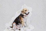Pastel Watercolor Painting Photoshop, an Action Add-On by Photoshop Action (Thumbnail 2 of 12)