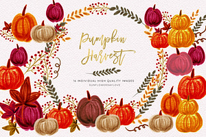 Pumpkin Harvest Clipart