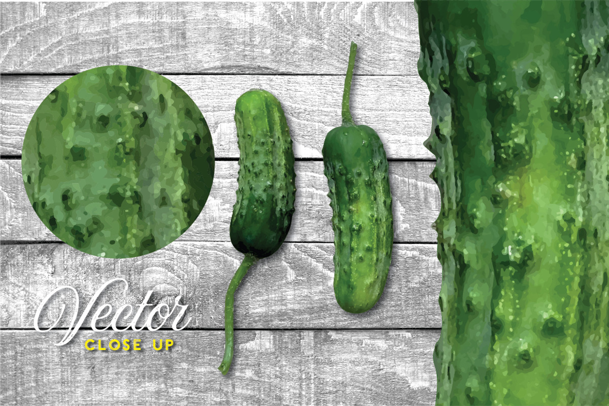 Pickle Vector - Botanic Specimens, an Object Graphic by Turning Moss (Photo 3 of 4)