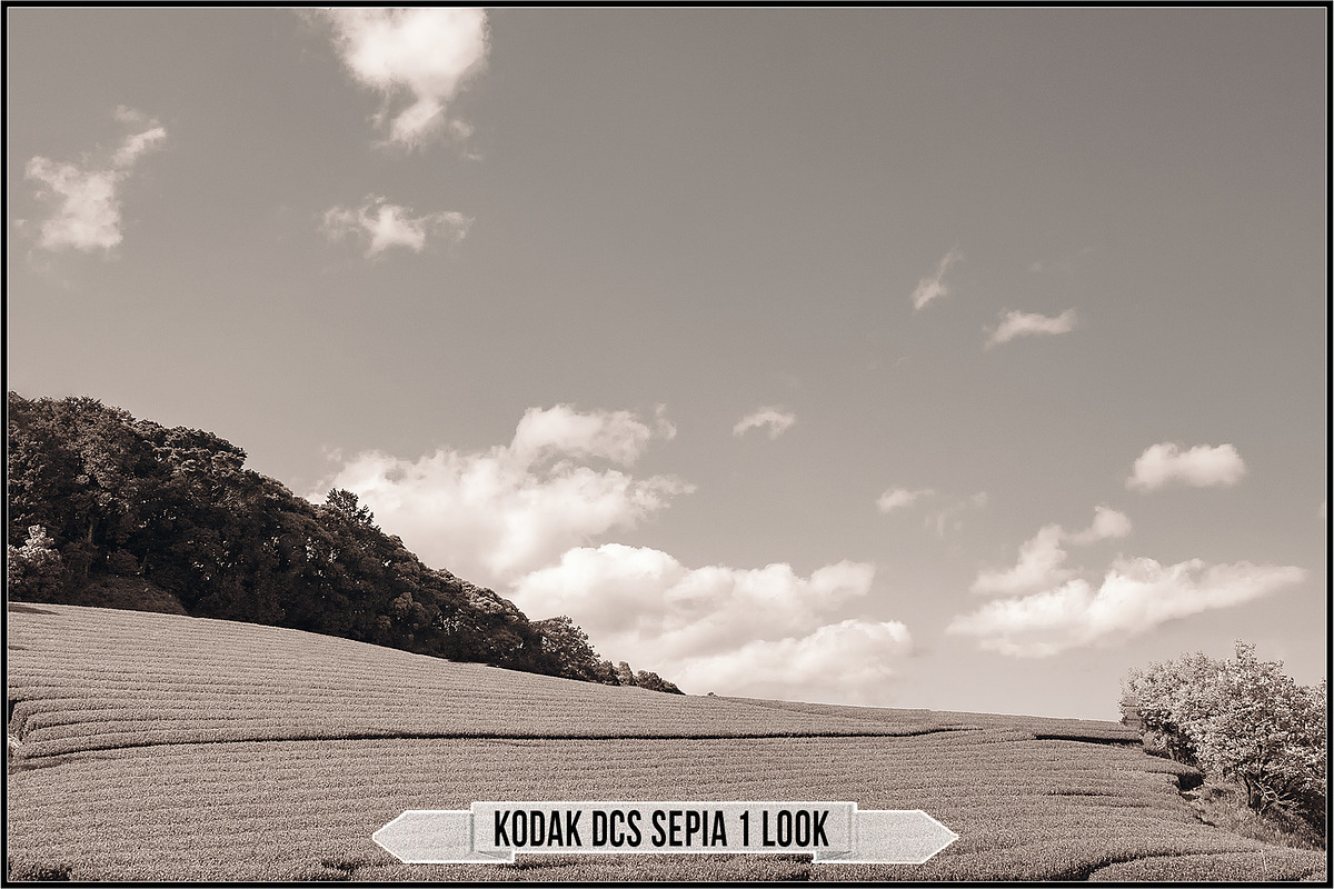 Authentic Sepia LUTs - Version 2, a Plug-in Add-On by Raztrend (Photo 16 of 30)