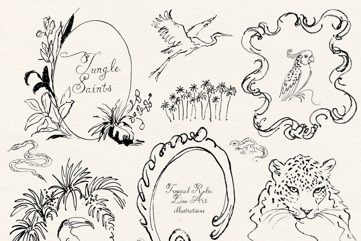 Jungle Saints: Tropical Line Art, an Object Illustration by Purple (Photo 9 of 15)