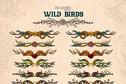 Wild Birds, an Animal Illustration by Ink Stories (Thumbnail 16 of 20)