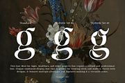 Palimony Luxury Serif, a Font by TypeClassHeroes (Thumbnail 6 of 15)