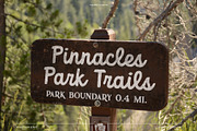 Outdoor Script | National Park Font, a Script Font by Vicarel Studios (Thumbnail 21 of 27)