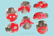 Watercolor Ladybugs, an Illustration by Sandra Jones Art (Thumbnail 2 of 2)