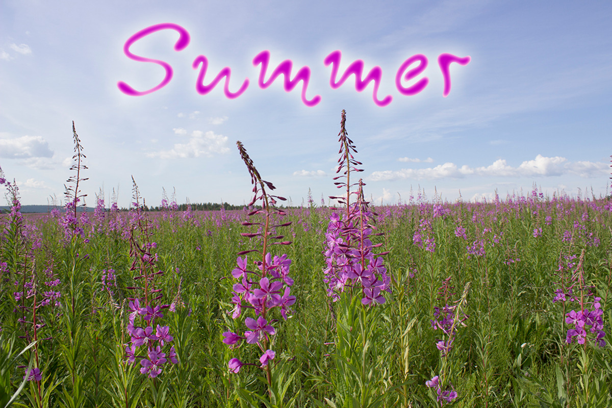 Blooming sally font preview 5