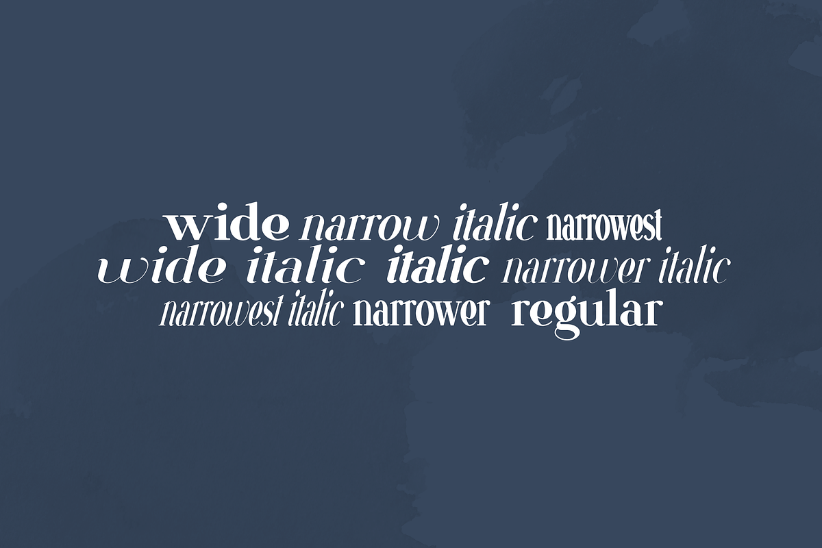 VSOP - elegant serif, 70 fonts, a Serif Font by VP Fonts (Photo 2 of 21)
