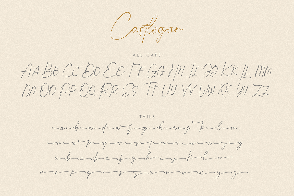 Castlegar Script, a Script Font by FactoryType Studio (Photo 11 of 12)