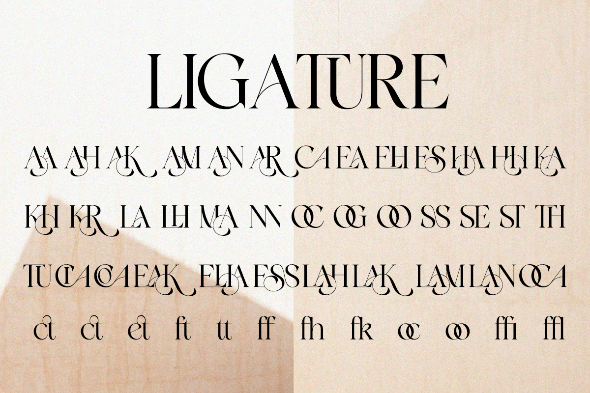 Flamicia - Luxury Modern Editorial, a Serif Font by Qweera Studio (Photo 9 of 12)