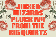 Wirklich - Vintage Sans Serif Typefa, a Sans Serif Font by Masyafi Studio (Thumbnail 3 of 8)