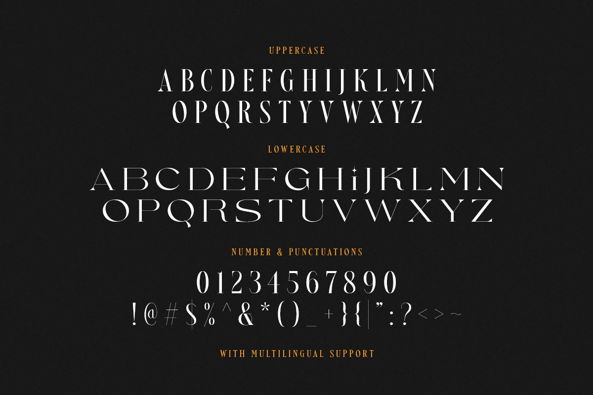 Nefarious - Modern Serif, a Serif Font by Sarid Ezra (Photo 9 of 9)