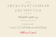 Quillia - Bold Signature Handwriting, a Handwritten Font by CreateBigSupply (Thumbnail 7 of 10)