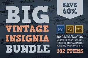 BIG Vintage Insignia Bundle 60% off