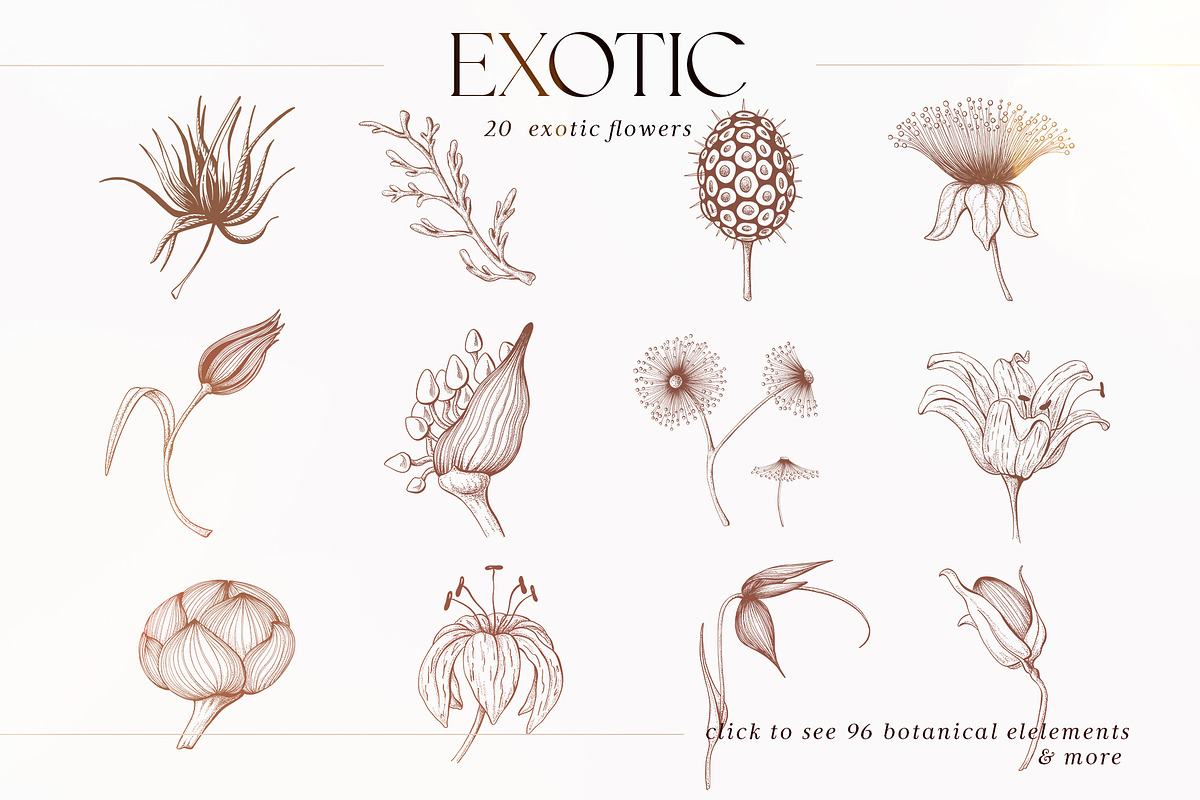 Vintage Flowers Collection, an Illustration by TL Design (Photo 4 of 8)