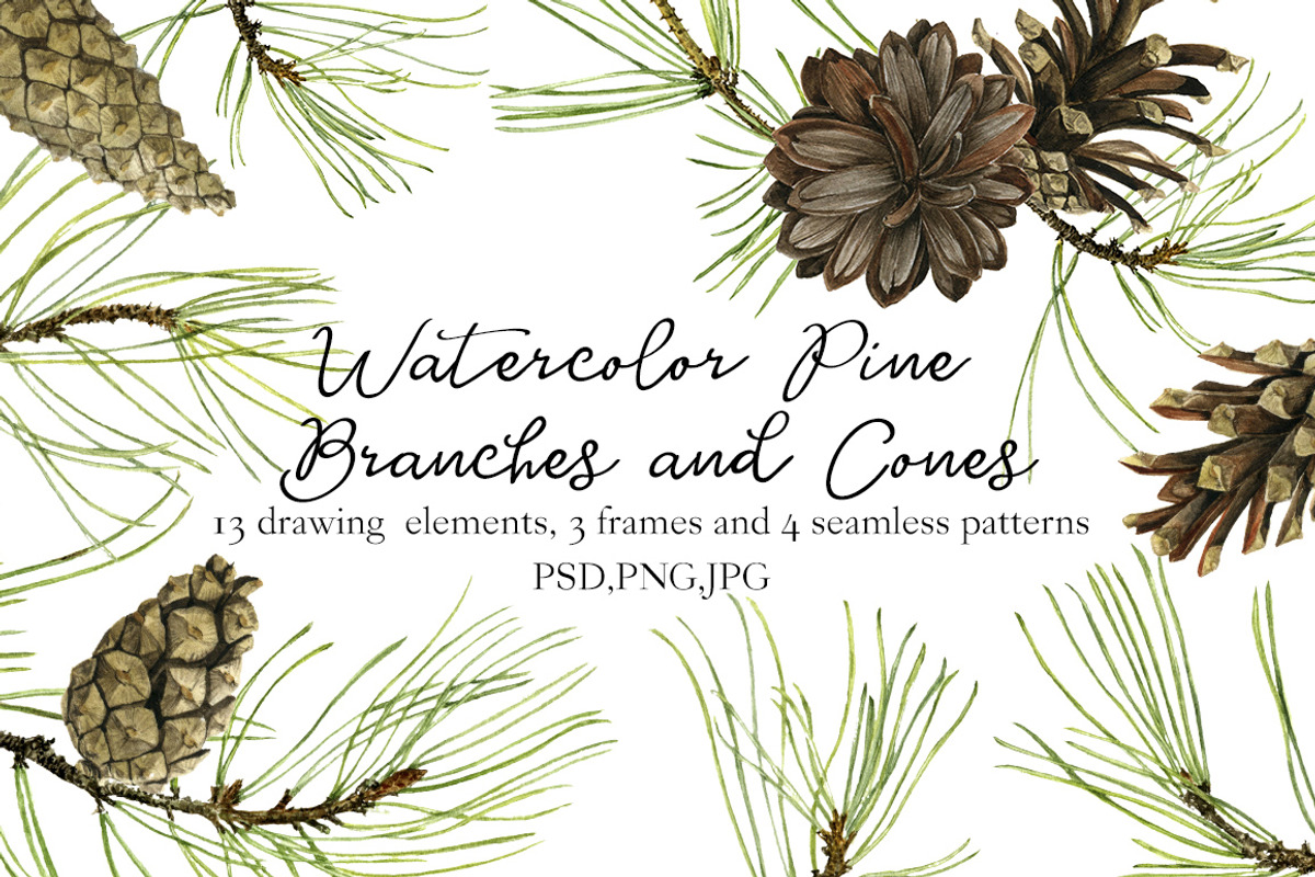 Watercolor Pine Branches and Cones, a Decorative Illustration by cat_arch_angel (Photo 1 of 5)