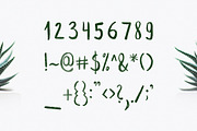 Leafy Extended Brush Font, a Script Font by Wild Ones (Thumbnail 5 of 8)