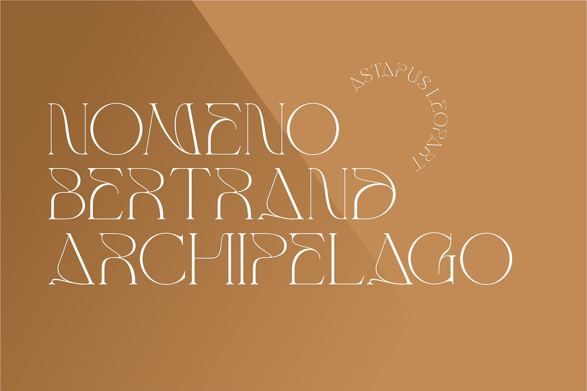 Kiedga Font | Sleek Serif font, a Serif Font by WhymoreArt (Photo 2 of 8)