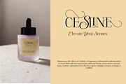 Reshnua - Hybrid Serif Typeface, a Serif Font by Mytype Studio (Thumbnail 6 of 10)