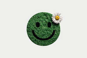 Green grass smiley face with daisy flower on white background sy, an Abstract Photo by José Manuel Gelpi