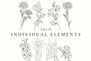 Birth Month Flowers SVG - PNG, a Decorative Illustration by AW Studios (Thumbnail 4 of 11)