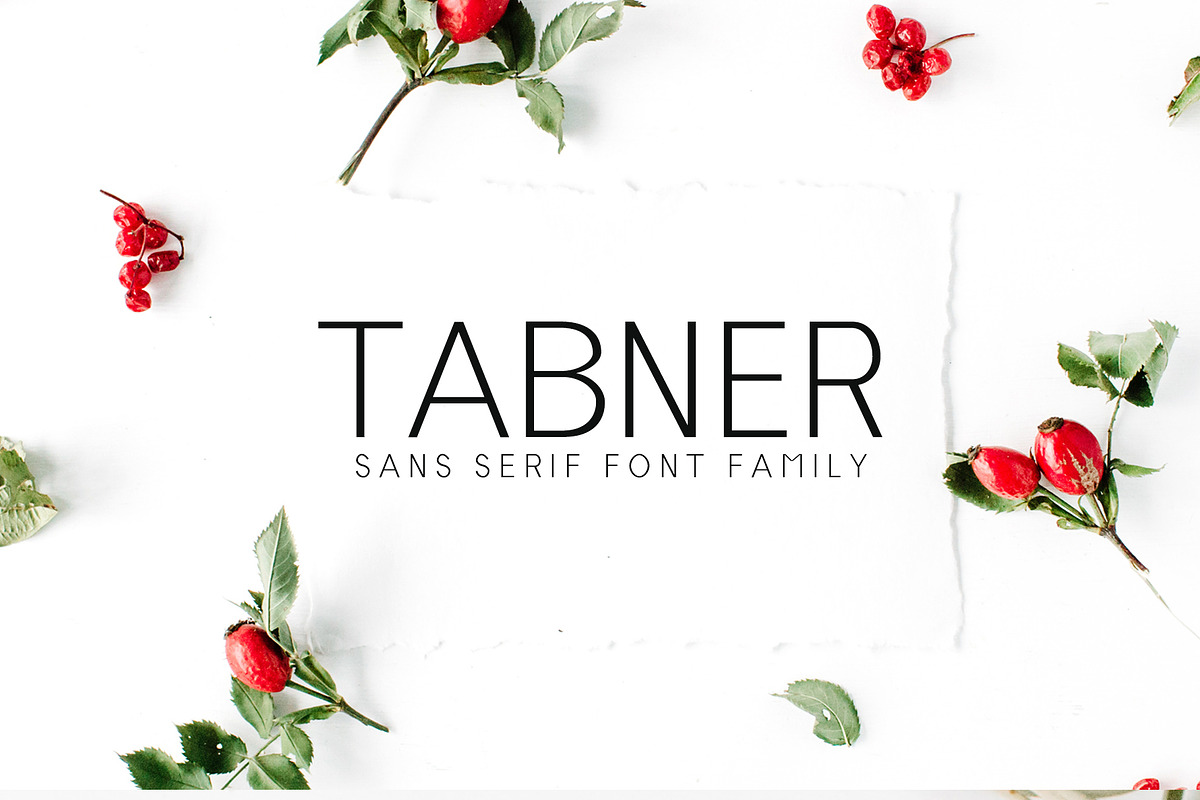Tabner Sans Serif Font Family