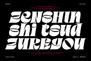 MIT Neurise, a Serif Font by Maculinc Type (Thumbnail 2 of 12)