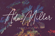 Bonita Melodia Script, a Script Font by Andrey Sharonov (Thumbnail 6 of 13)
