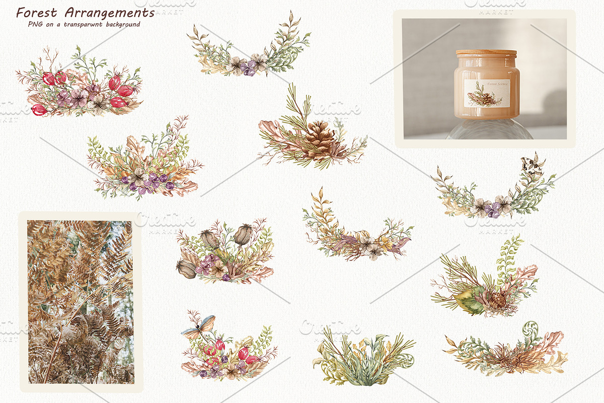 Watercolor Botanical Forest Set, an Animal Illustration by BarvArt (Photo 9 of 20)