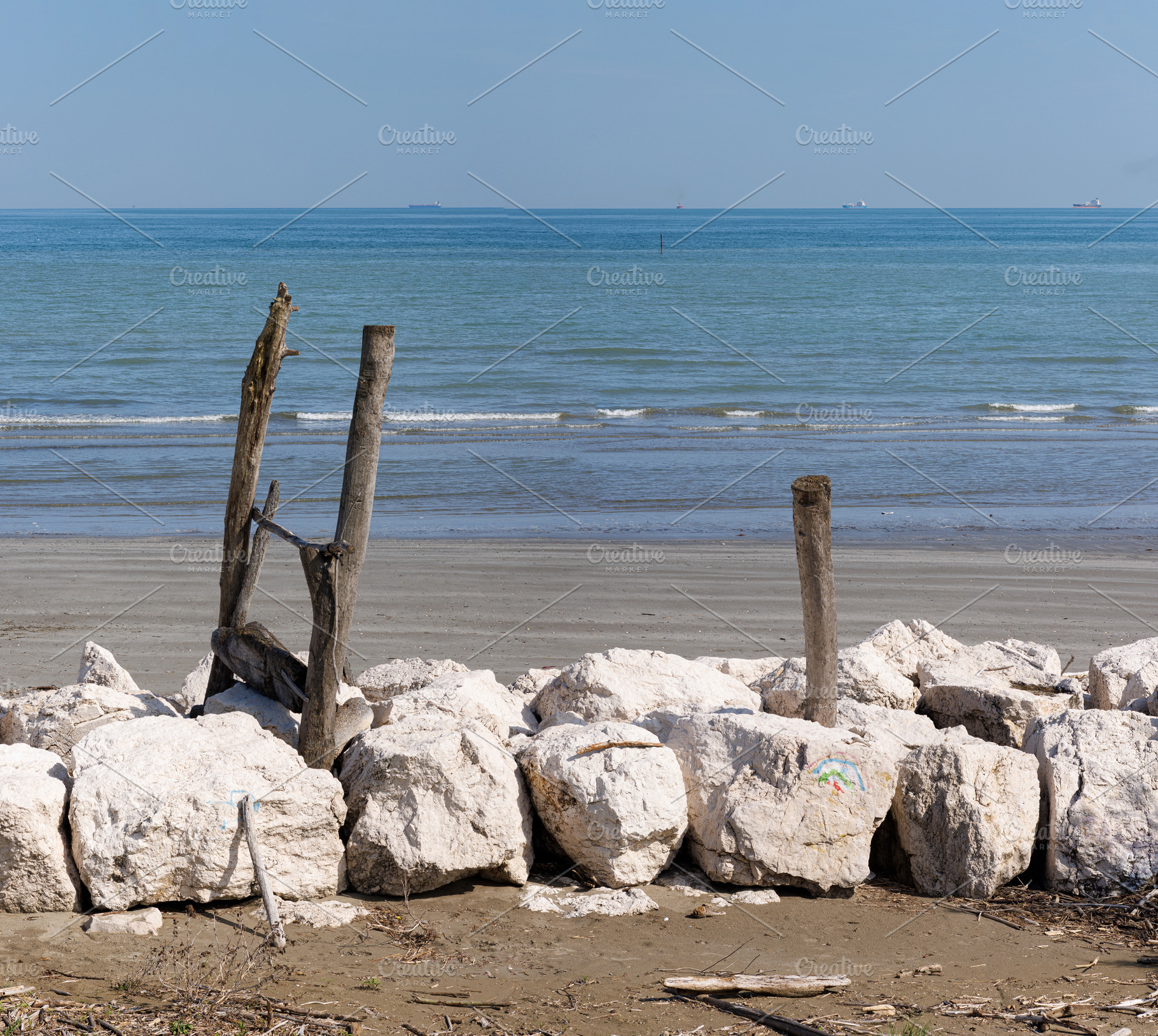 Driftwood on the beach on Pellestrina lagoon, a Nature Photo by Bepslabor