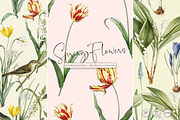 SPRING FLOWERS SEAMLESS PATTERNS, a Pattern Graphic by Splash! (Thumbnail 1 of 10)