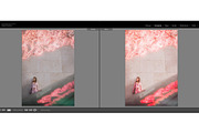 Pink Attitude Lightroom Presets, an Action Add-On by TravellersLight (Thumbnail 5 of 22)