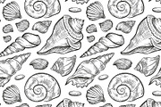 Seashells design elements set lite, an Illustration by Graphic Magic (Thumbnail 2 of 2)