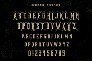 Reidfork & Bonus + Textpress, a Serif Font by Swistblnk Std. (Thumbnail 4 of 6)