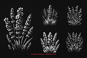 10 Bundle Dark Art Lavender Flower, an Illustration by Morspective (Thumbnail 5 of 7)