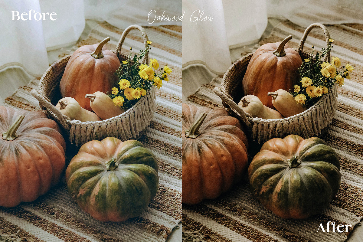 15 Autumn Inspired Lightroom Presets, a Preset Add-On by HipFonts (Photo 3 of 10)