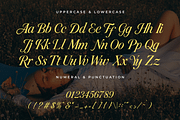 Valerine – Modern Script Font, a Script Font by overlaytemplates (Thumbnail 4 of 5)