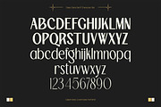TBJ Palatino San serif With Serif, a Serif Font by Taboja Studio (Thumbnail 3 of 26)