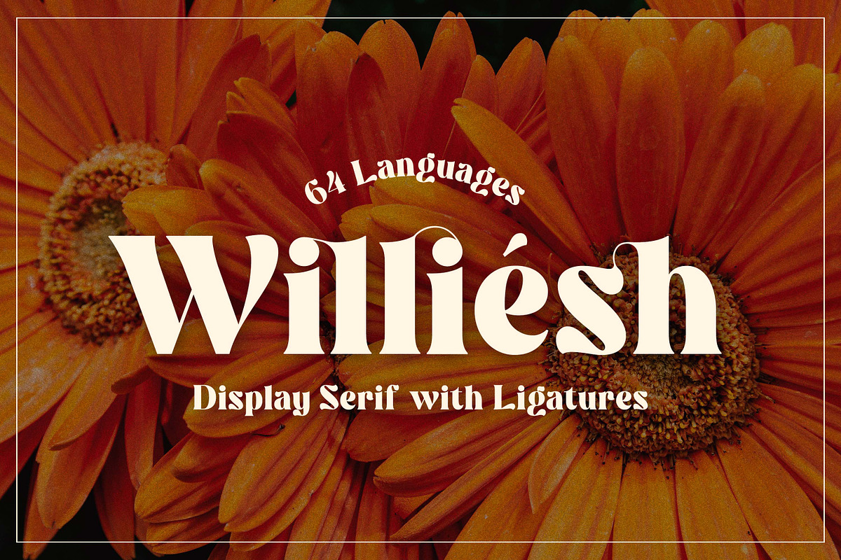 Williesh - Unique Display Serif, a Serif Font by Almarkhatype (Photo 1 of 10)