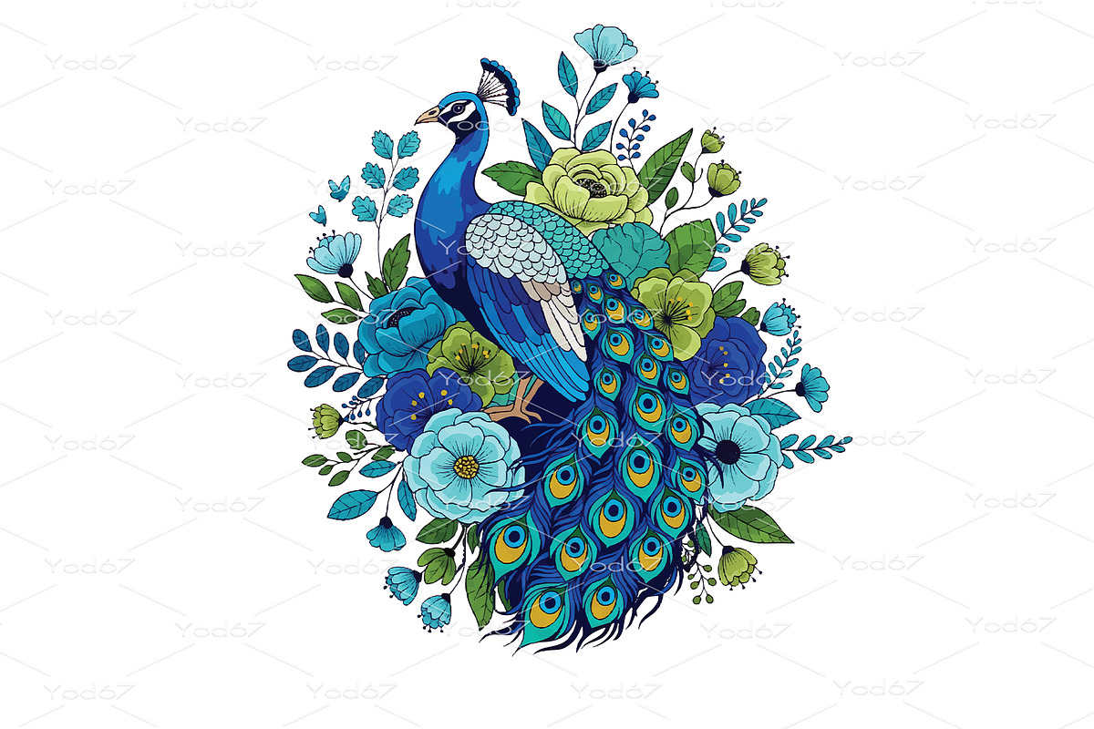 Peacock with an elaborate tail., an Animal Illustration by yod67