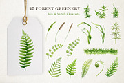 Forest Mushrooms Watercolor Clipart, a Decorative Illustration by AnitaPol (Thumbnail 10 of 21)