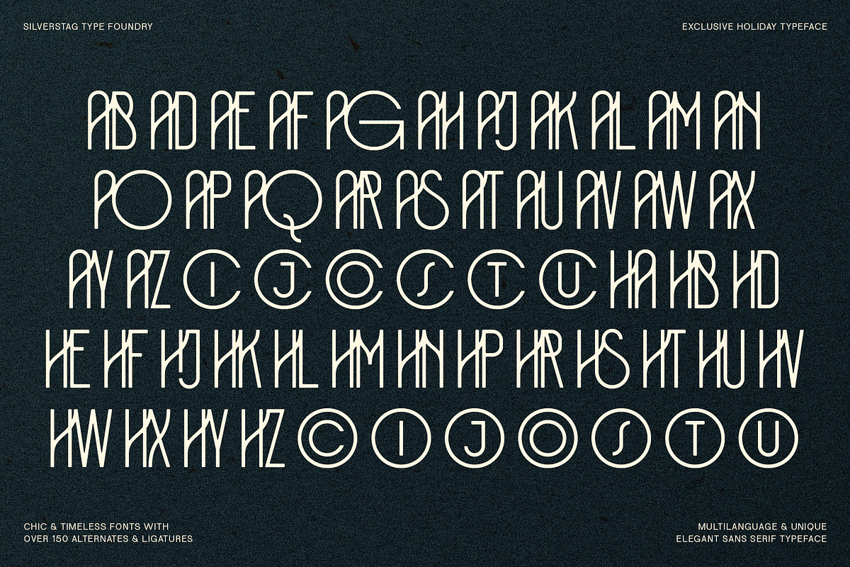 SLTF Holiday Whispers Typeface, a Sans Serif Font by SilverStag Type Foundry (Photo 17 of 20)