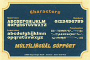 Buckson - Retro Serif Font, a Serif Font by Snape Design Studio (Thumbnail 3 of 7)