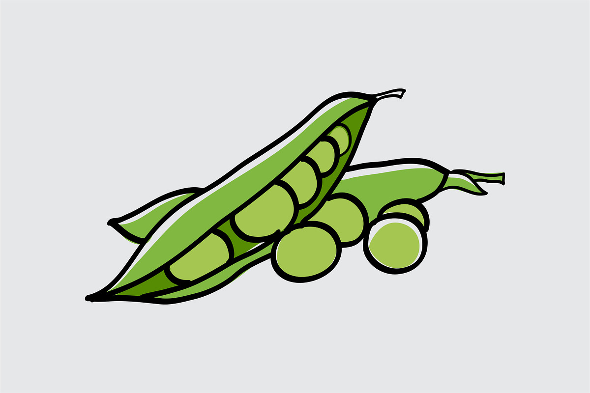 Vegetables 25 types of garden plants, an Object Graphic by Vintage Font Lab (Photo 17 of 26)