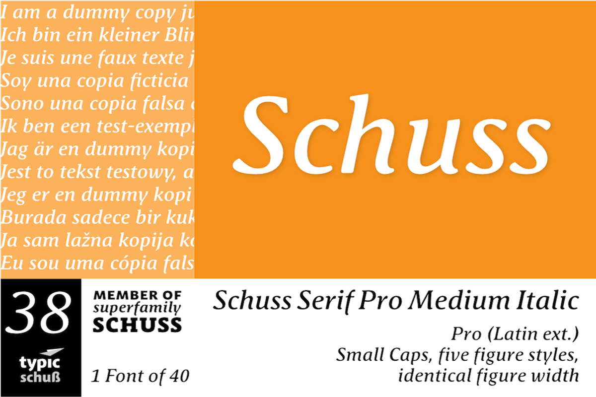 SchussSerifProMedIta No.38 (1 Font)