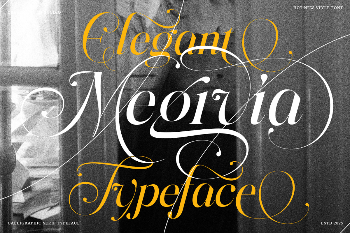Megivia Calligraphyc Serif | 6 Fonts, a Serif Font by IM Studio (Photo 6 of 12)