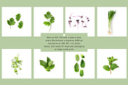 Organic Kitchen. Scene Creator, an Object Graphic by ifiStudio (Thumbnail 3 of 6)
