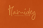 Hamidey Signature Script, a Script Font by ALIVECREATIVE (Thumbnail 1 of 5)