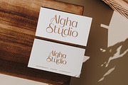 Mozani Elegant Sans Serif Font, a Sans Serif Font by timelesstype.co (Thumbnail 6 of 20)